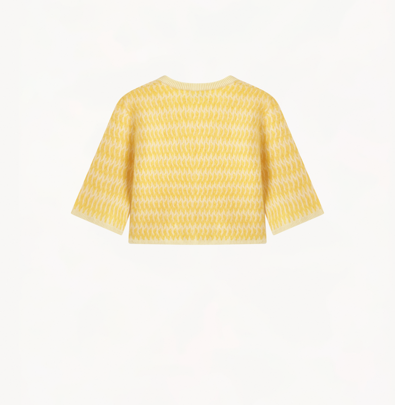 Cashmere two-toned crewneck crop top in moonlight yellow