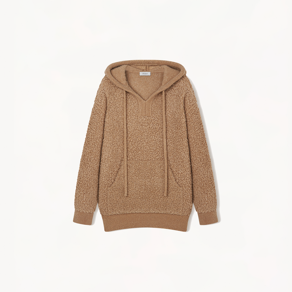 Teddy sweater 2025 with hood